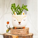 Mini pot pour plante renard - Sass & Belle