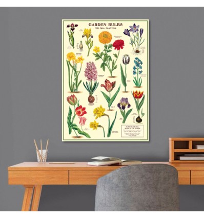 Affiche Bulbes du Jardin - Cavallini & Co