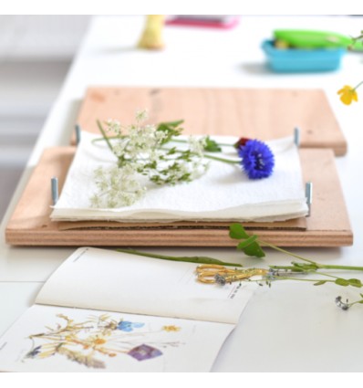 Presse à fleurs - Rico Design