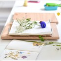 Presse à fleurs - Rico Design