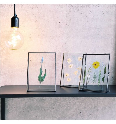 Fleurs pressées Rose Violet - Rico Design