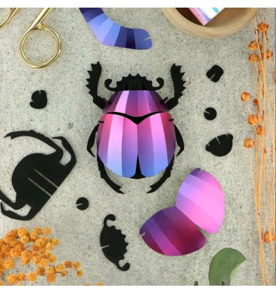 Insecte DIY Scarabée Violet - Assembli