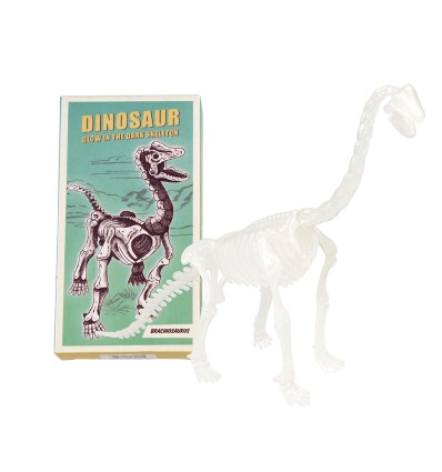 Kit d'assemblage dinosaure phosphorescent - Rex