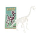 Kit d'assemblage dinosaure phosphorescent - Rex