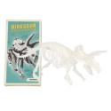 Kit d'assemblage dinosaure phosphorescent - Rex