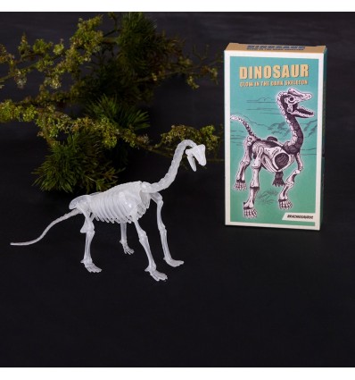 Kit d'assemblage dinosaure phosphorescent - Rex