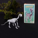 Kit d'assemblage dinosaure phosphorescent - Rex