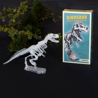 Kit d'assemblage dinosaure phosphorescent - Rex 2
