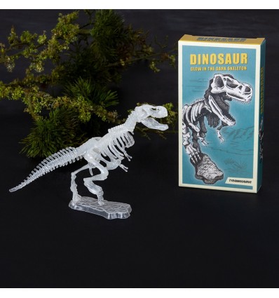 Kit d'assemblage dinosaure phosphorescent - Rex
