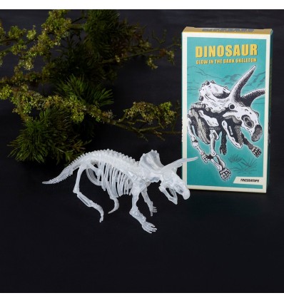 Kit d'assemblage dinosaure phosphorescent - Rex