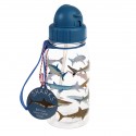 Petite gourde requins 500 ml - Rex London