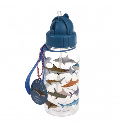 Petite gourde requins 500 ml - Rex London