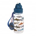 Petite gourde requins 500 ml - Rex London