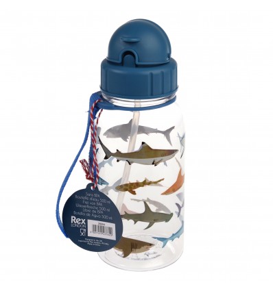 Petite gourde requins 500 ml - Rex London