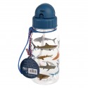 Petite gourde requins 500 ml - Rex London