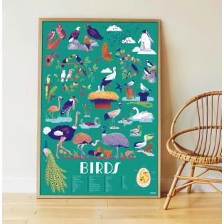 Poster & stickers Oiseaux - Poppik