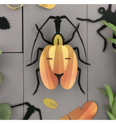 Insecte DIY Scarabée Violin- Assembli