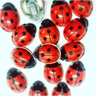 Clic clac Coccinelle en métal - Protocol