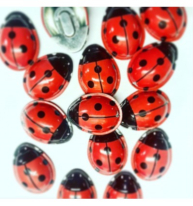 Clic clac Coccinelle en métal - Protocol