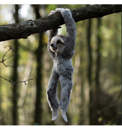 Peluche Paresseux - Animigos