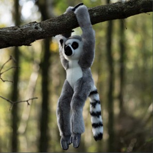 Peluche Lémurien - Animigos