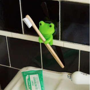Porte brosse à dents Grenouille