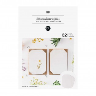 Papier buvard pour presse à fleurs - Rico Design