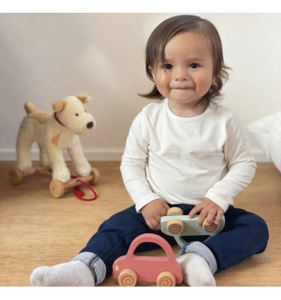 Voiture en bois vert clair - Egmont Toys