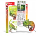 Eugy puzzle Caméléon 3D en carton