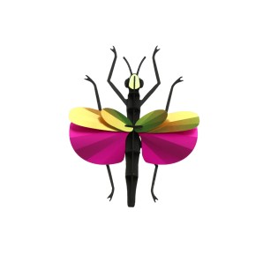 Insecte DIY Phasme - Assembli 2