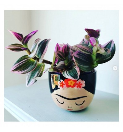 Mini pot Frida - Sass & Belle