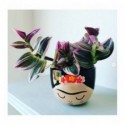 Mini pot Frida - Sass & Belle