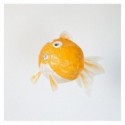 Kami fusen Poisson orange - Petra boase