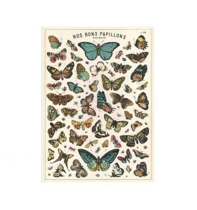 Affiche Nos Bons Papillons - Cavallini & Co