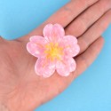 Pince à cheveux Sakura - Coucou Suzette