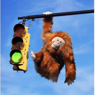 Peluche Oswald Orang Outang - Jellycat