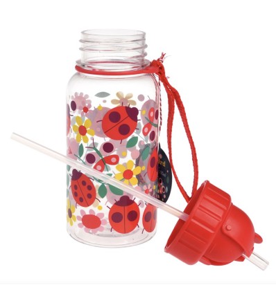 Petite gourde coccinelle 500 ml - Rex London