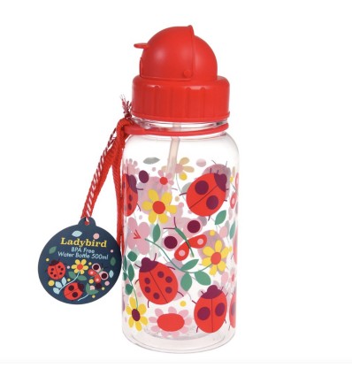 Petite gourde coccinelle 500 ml - Rex London