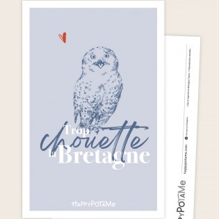 Carte Trop chouette la Bretagne - Happypotame
