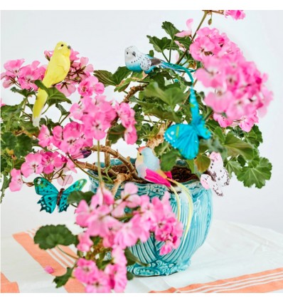 Oiseau décoratif à cliper - Petra Boase