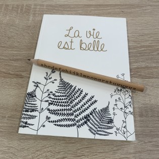 Crayon à papier Alphabet - Cavallini 2