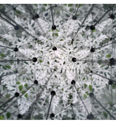 Kaleidoscope Huckleberry - Kikkerland