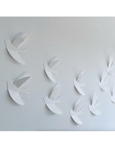 Hirondelles murales blanches - Les Petites Hirondelles