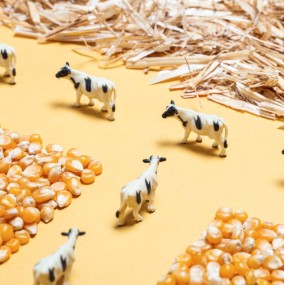 Bouteille sensorielle spy Ferme - Petit Boum 2