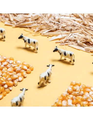 Bouteille sensorielle spy Ferme - Petit Boum