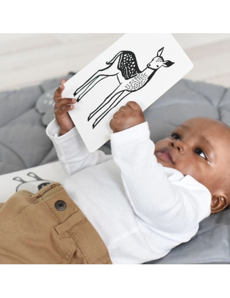 Cartes noir et blanc Safari - Wee Gallery