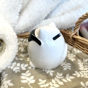 Tirelire Chat à lunettes - Out of the Blue 2