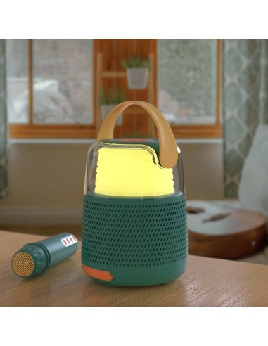 Enceinte et Karaoké Turquoise - Mobility On Board