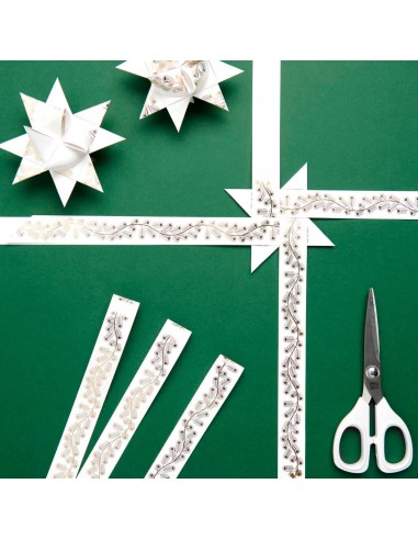 Kit de fabrication 10 étoiles de Fröbel blanches et dorées - Rico Design