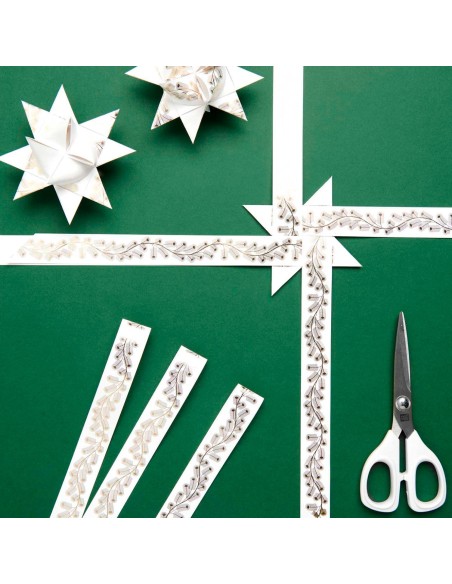 Kit de fabrication 10 étoiles de Fröbel blanches et dorées - Rico Design